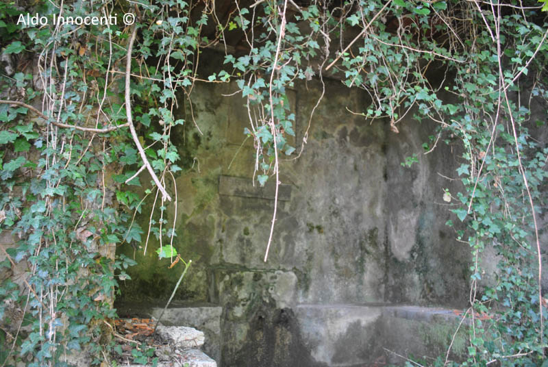 FONTE PANDOLFINA 5